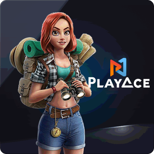 플레이 에이스 슬롯